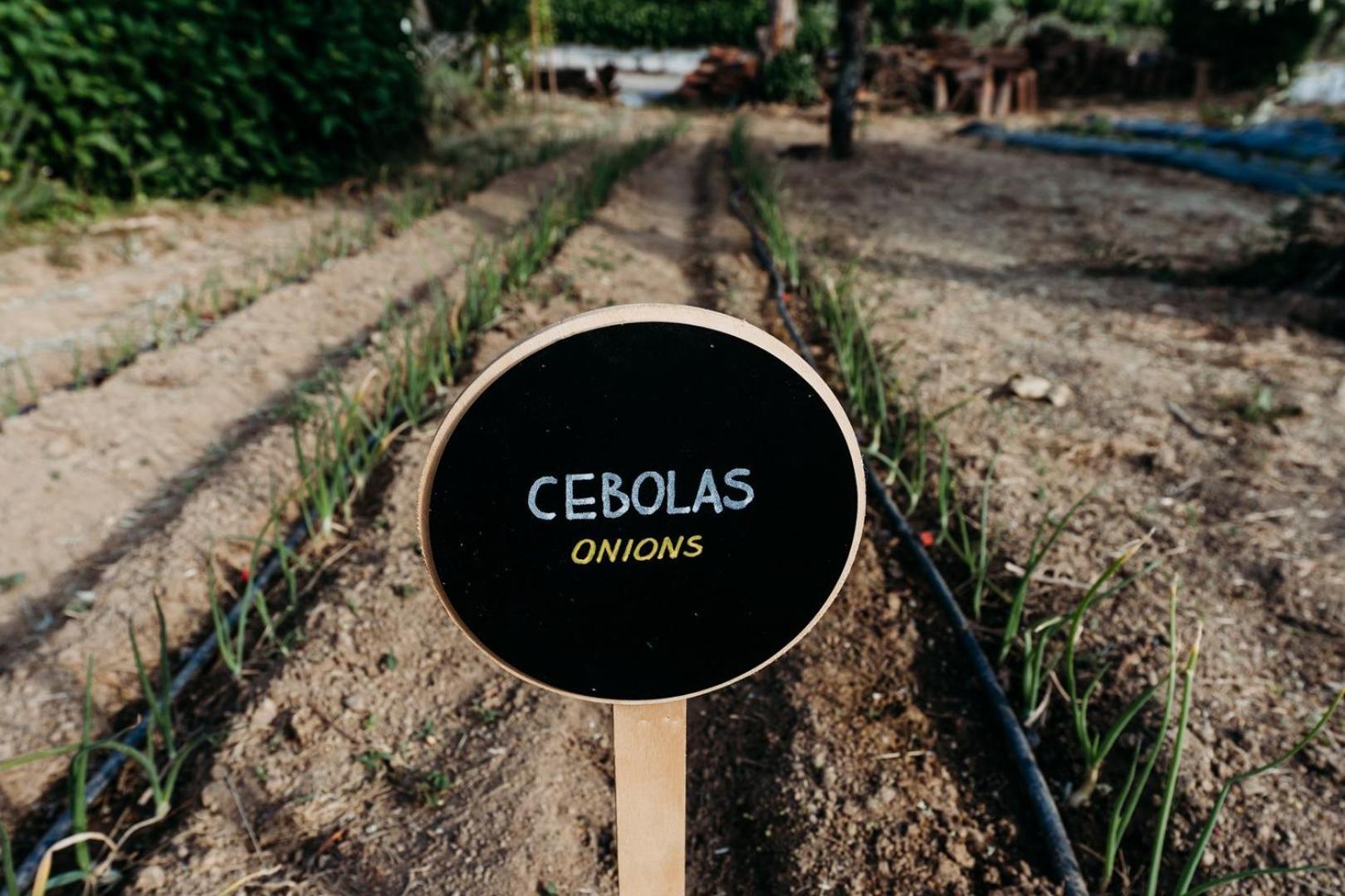 ホテル Quinta De S. Miguel Fundão エクステリア 写真