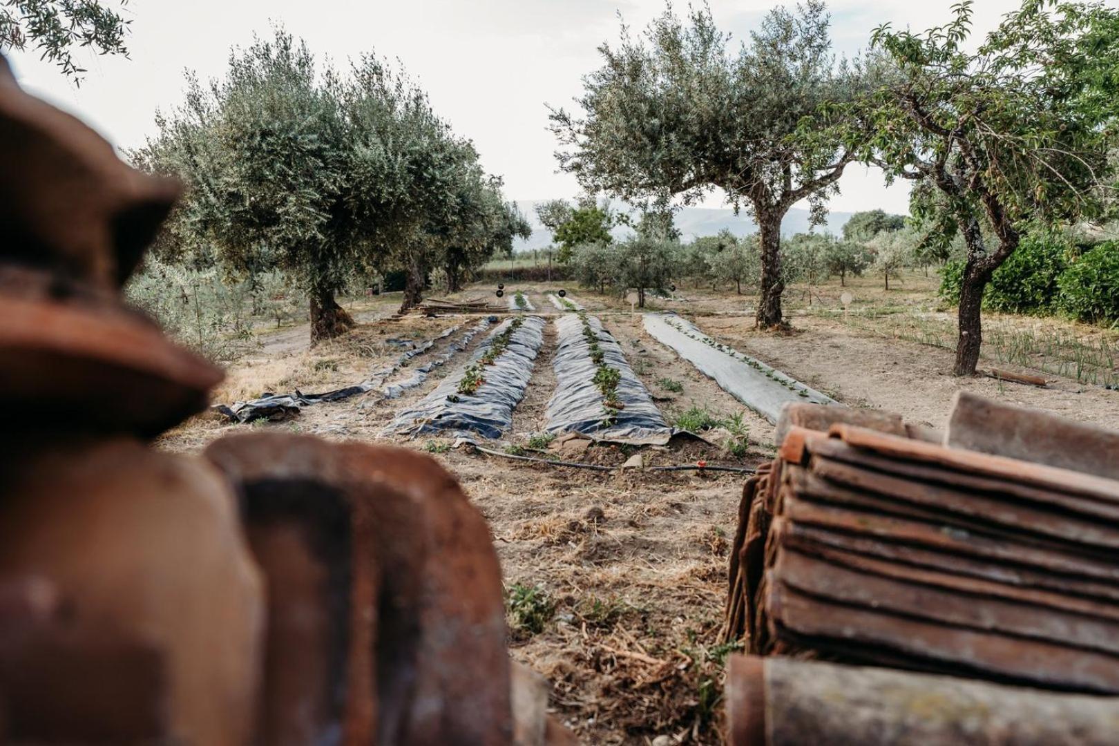 ホテル Quinta De S. Miguel Fundão エクステリア 写真